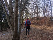 46 Seguiamo labile traccia sulla dorsale sud prima nel bosco poi sulle ex-miniere di calamina 